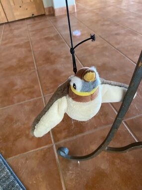 Plush Bird Hanging Pet Toy - Brown and Cream